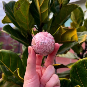 May include: A pink and white patterned sphere made of polished stone. The sphere is about the size of a golf ball.