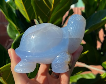 Blue Chalcedony Turtle Crystal Carving ( ~2lbs) - Etsy