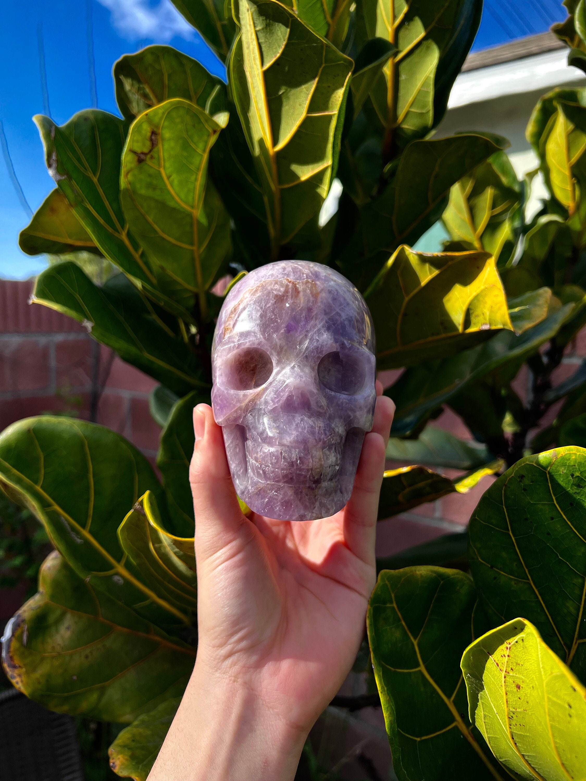 スーパー7アメジストスカル彫刻（3.5ポンド） - Etsy 日本