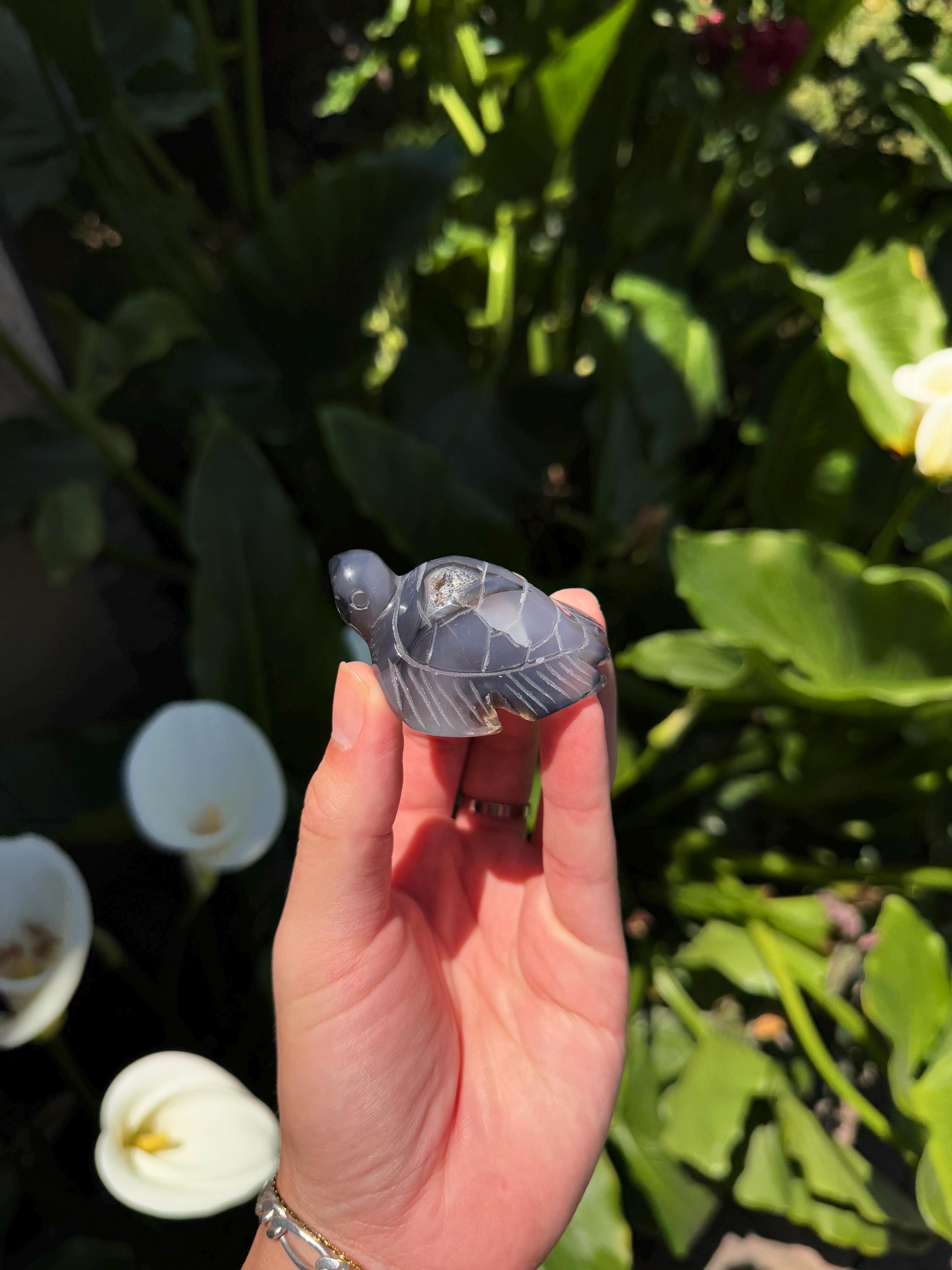 Gray Turtle megaball 50% 羅本製所 OZWRT等好きな方 Agate Turtle - High Grade (0.16lbs) - Etsy Denmark