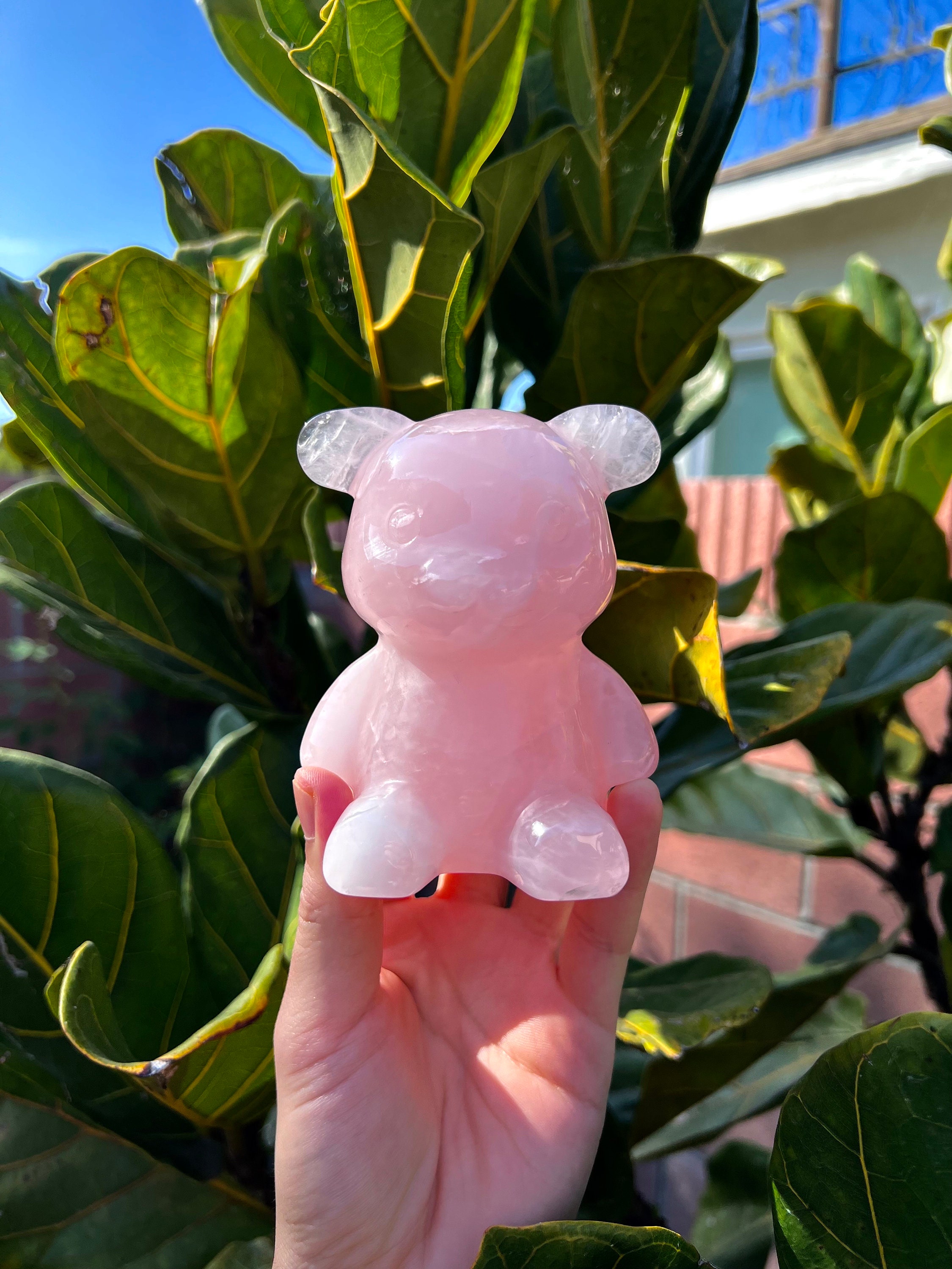 Star Rose Quartz Teddy Bear Crystal Carving (~1.6lbs) - Etsy