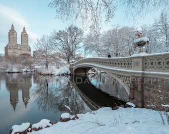 Pode incluir: Uma ponte coberta de neve sobre um lago congelado no Central Park, Nova Iorque. A ponte é de pedra e tem uma grade decorativa. No fundo, é visível um prédio de apartamentos alto.