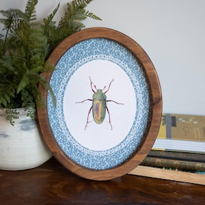 Framed Oval Beatle Canvas Print, Miniature Oil Painting, Oval Lace Insect Art, Tiny Round Painting, Botanical Wall Decor, Oval Painting