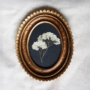 Puede incluir: Un marco ovalado de color oro antiguo con un fondo azul oscuro. El marco contiene una delicada disposición de flores blancas secas. El marco tiene detalles ornamentados y está sobre un fondo de tela blanca.