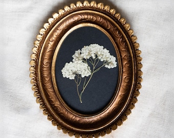 Geperste gedroogde witte bloemen in gouden geschulpte lijst, geperste bloemenmuurkunst, ingelijste geperste bloem, geperste gedroogde bloem wanddecor