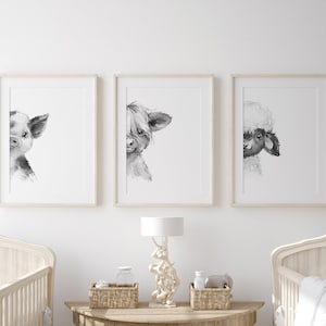 Farm Nursery Prints, Piglet, Highland Cow, Lamb, Black and White Art Prints, Set of Three Digital Files that You Print, 4 Sizes