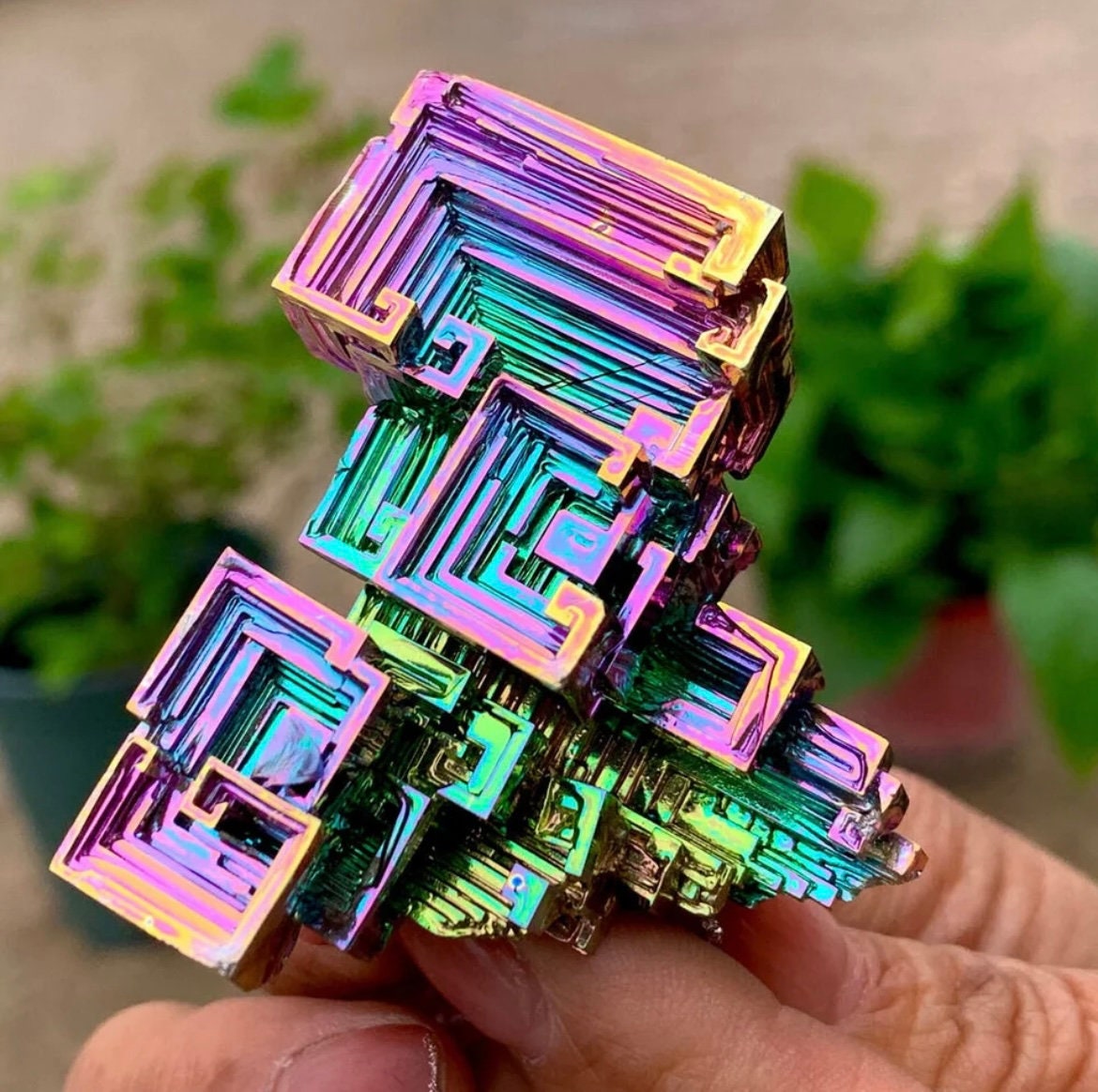 Rainbow Bismuth Crystal Flowers, Small and Large, Made by the Bismuth Smith  