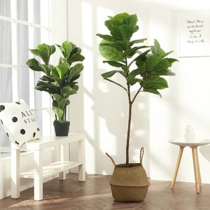 Árbol De Ficus Artificial De 6 Pies Altos Para Interiores, Á