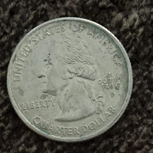 2007 PCGS MS64 Bristle Washington State Quarter Mint Error