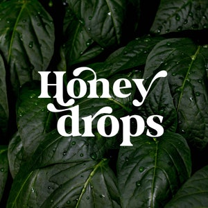 Honey Drops -  Serif Font, Modern Font, Boho Font, Branding Font, Swash Font, Fonts for Cricut, Bohemian Fonts, Cricut Fonts