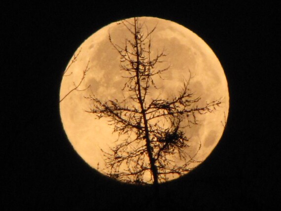 Moon Photography - Nature Photography Wall Art - Etsy