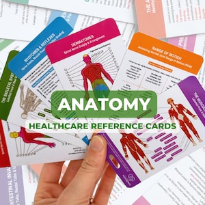 May include: A selection of healthcare reference cards with anatomical diagrams. The cards show the skeletal and muscular systems, dermatomes, and range of motion. The word "ANATOMY" is displayed prominently.