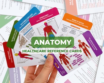 Anatomy Reference Cards, Skeletal Muscular Dermatomes, Nursing Physio Prompts