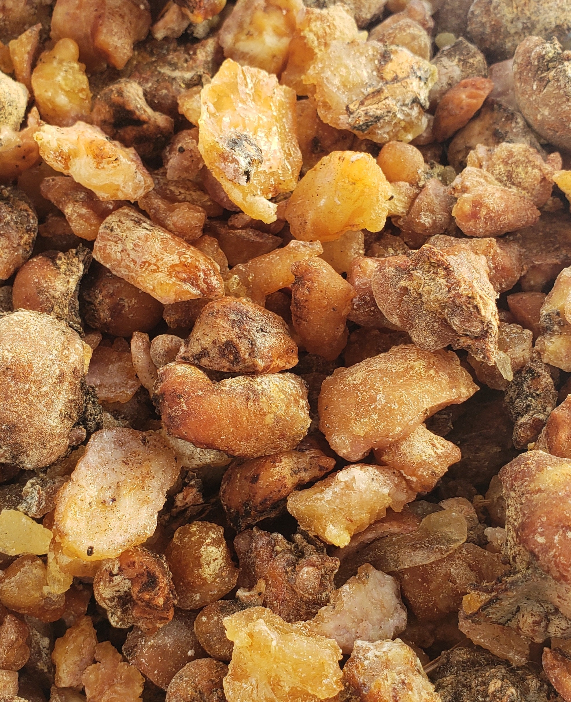 Piñon Pine Sap Resin Pitch Pinyon Pinon Pinion Rosin Trementina