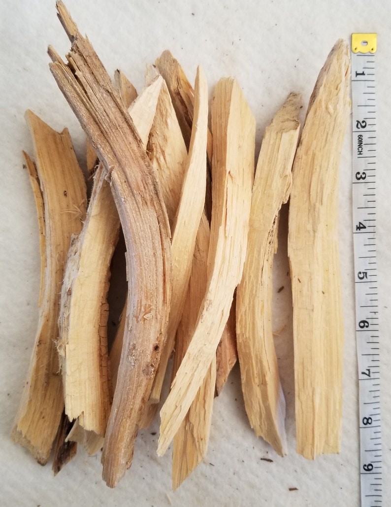 Piñon Pine Pinion Pinyon Pinon Wood Sticks Etsy