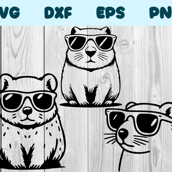 Wombat Wearing Sunglasses Svg Wombat With Glasses Png Wombat With Glasses Clipart Wombat Vector Bundle Pack Commercial Use