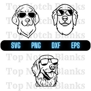 Golden Retriever mit Brille SVG Golden Retriever Sonnenbrille Png Golden Retriever Vektor Bundle-Pack Kommerzielle Nutzung