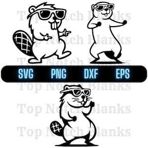 Castor dansant avec des lunettes de soleil Svg danse castor Png danse castor cliparts vecteur Bundle Pack usage commercial