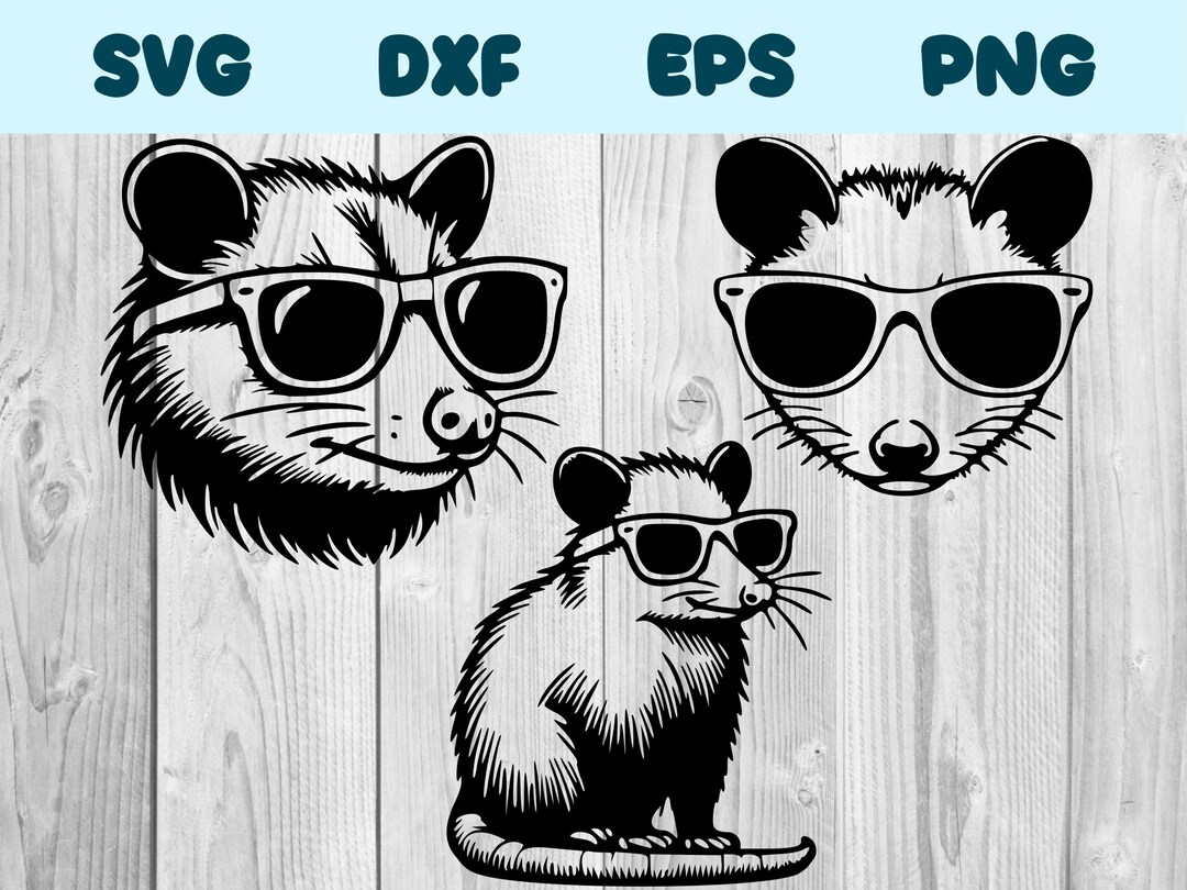 Opossum With Sunglasses Svg Opossum With Glasses Png Opossum Wearing