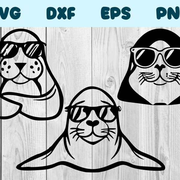 Seal Wearing Sunglasses Svg Seal Png Seal Clipart Seal Vector Bundle Pack Commercial Use