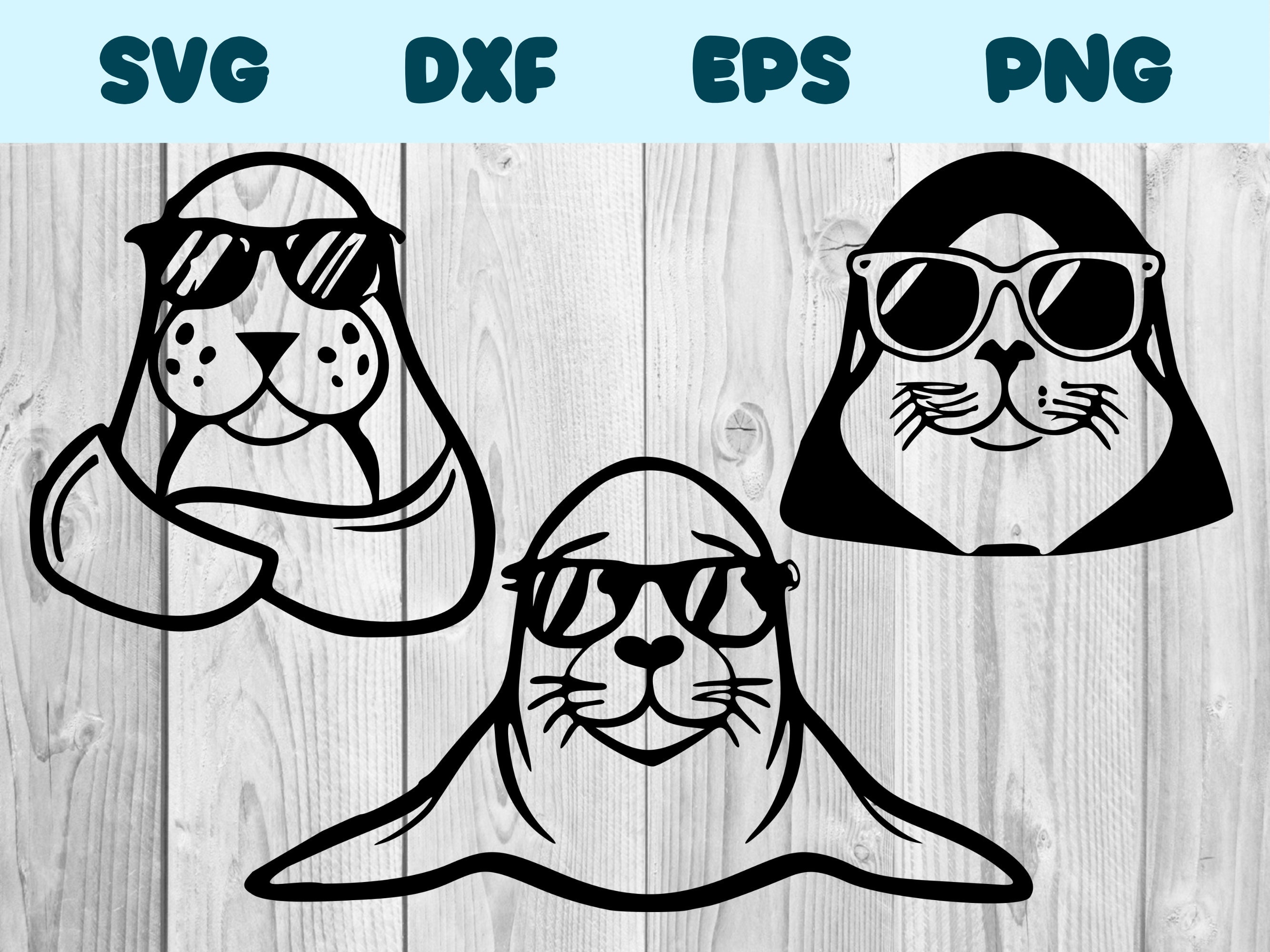 Seal Wearing Sunglasses Svg Seal Png Seal Clipart Seal Vector Etsy