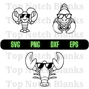 Hummer mit Sonnenbrillen Hummer Mit Brille Png Cool Hummer Clipart Hummer Vektor Bundle-Pack Kommerzielle Nutzung