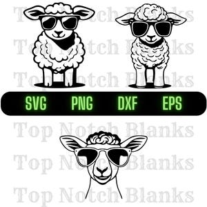 Lamb Wearing Sunglasses Svg Lamb Png Lamb Clipart Lamb Vector Bundle Pack Commercial Use