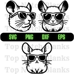 Chinchilla Wearing Sunglasses Svg Chinchilla With Glasses Png Chinchilla Clipart Chinchilla Vector Bundle Pack Commercial Use
