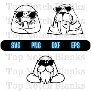 Walrus With Glasses Svg Walrus Wearing Sunglasses Png Walrus With Glasses Clipart Walrus Vector Bundle Pack Commercial Use