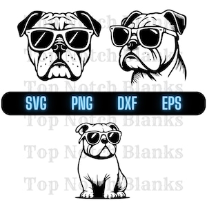 Bulldog Z Okularami Svg Bulldog Noszący Okulary Przeciwsłoneczne Png Bulldog Z Okularami Clipart Bulldog Wektor Pakiet Pakiet Komercyjne Wykorzystanie