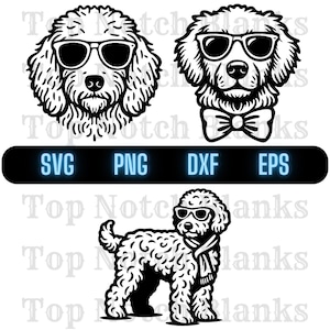 Goldendoodle With Glasses Svg Goldendoodle Wearing Sunglasses Png Goldendoodle Clipart Goldendoodle Vector Bundle Pack Commercial Use