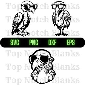 Vulture With Glasses Svg Vulture With Glasses Png Vulture With Glasses Clipart Vulture Vector Bundle Pack Commercial Use