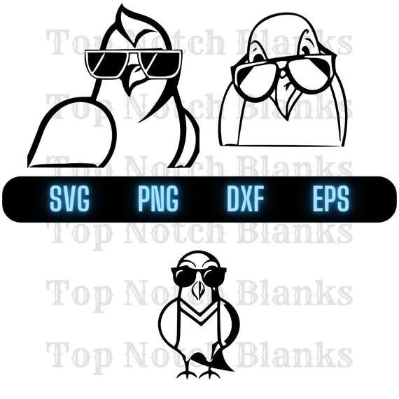 Pigeon Wearing Sunglasses Svg Pigeon Png Pigeon Clipart Pigeon Vector Bundle Pack Commercial Use