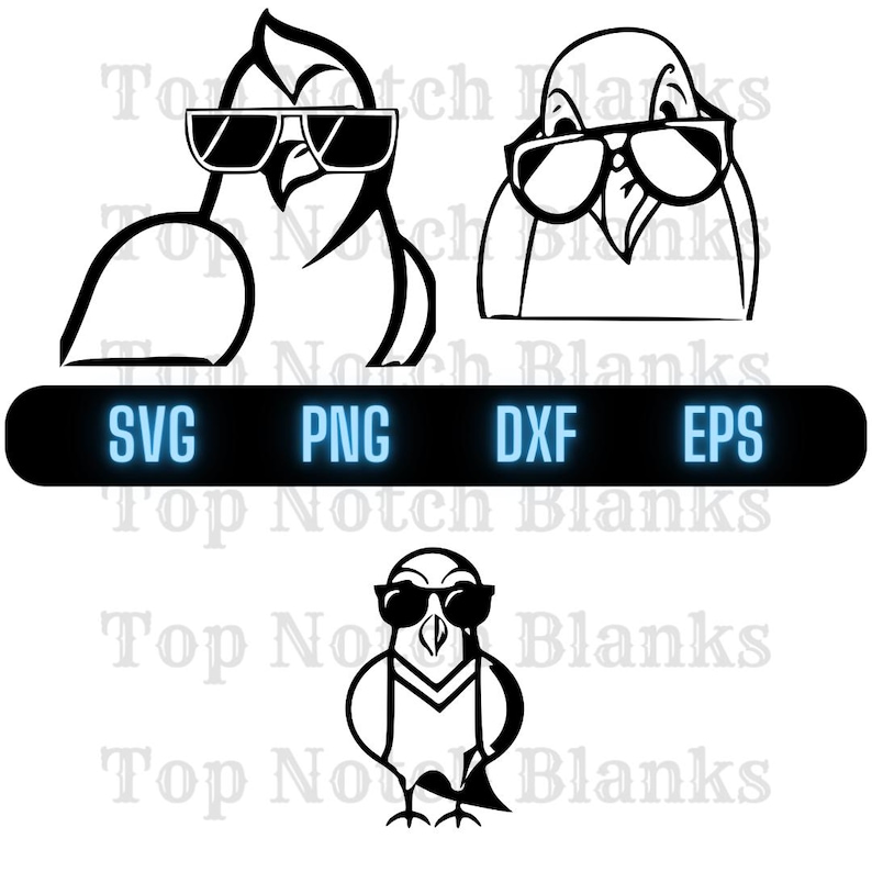 May include: Two black and white illustrations of birds wearing sunglasses. The birds are facing forward with their beaks closed. The birds are wearing sunglasses with a thick black frame. The birds are in a simple line art style.