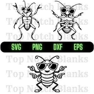 Insecto con gafas de sol Svg Insecto con gafas de sol Png Insecto con gafas Clipart Paquete de vectores de insectos Uso comercial