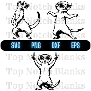 Meerkat Dancing With Sunglasses Svg Meerkat Dance Png Dancing Meerkat Clipart Meerkat Vector Bundle Pack 2 Commercial Use