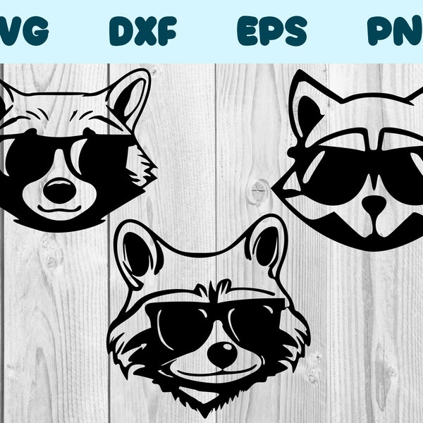 Racoon Wearing Sunglasses Svg Racoon with glasses png Racoon with glasses Clipart Racoon vector bundle pack commercial use