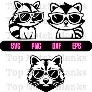 Raton laveur portant des lunettes de soleil Svg Raton laveur avec des lunettes png