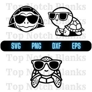 Turtle With Glasses Svg Turtle Wearing Sunglasses Png Turtle With Glasses Clipart Turtle Vector Bundle Pack Commercial Use