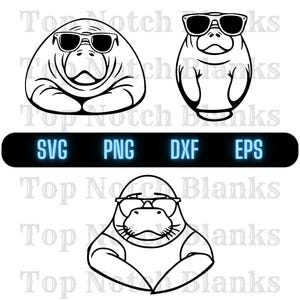 Manatee With Glasses Svg Manatee Wearing Sunglasses Png Manatee With Glasses Clipart Manatee Vector Bundle Pack Commercial Use