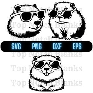 Marmota Usando Óculos De Sol Svg Marmota Com Óculos Png Marmota Com Óculos Clipart Groundhog Vector Bundle Pack Uso Comercial
