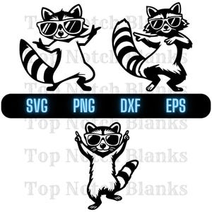 Racoon Dancing With Sunglasses Svg Racoon Dance Png Dancing Racoon Clipart Racoon Vector Bundle Pack Commercial Use