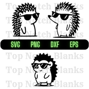 Igel mit Sonnenbrille svg Igel mit Brille Png Cooler Igel Clipart Igel Vektor-Bundle-Pack Kommerzielle Nutzung