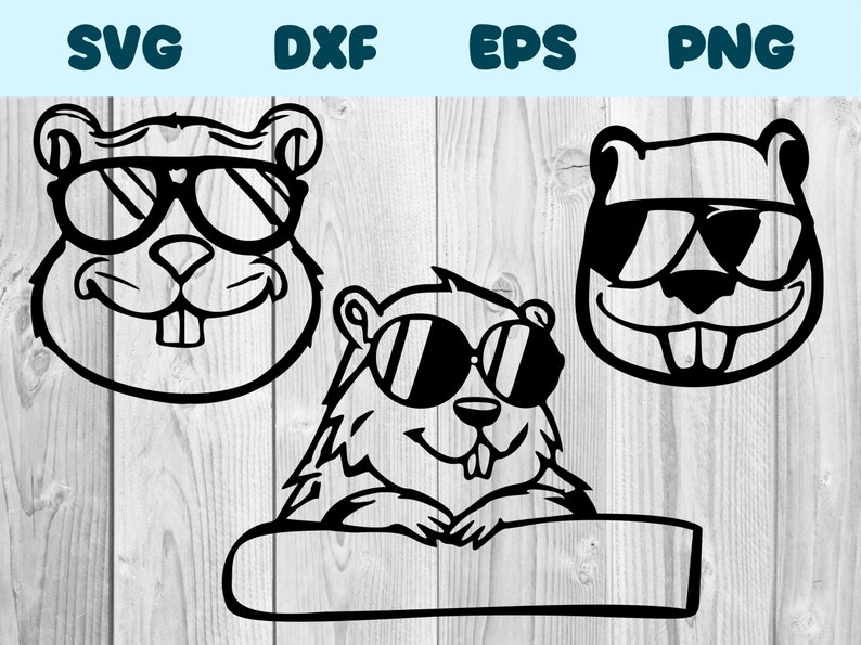 Beaver With Glasses Svg Beaver Wearing Sunglasses Png Beaver - Etsy