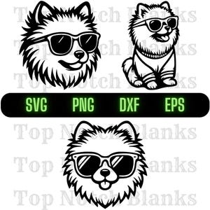 Pomeranian With Glasses Svg Pomeranian Wearing Sunglasses Png Pomeranian Clipart Pomeranian Vector Bundle Pack Commercial Use