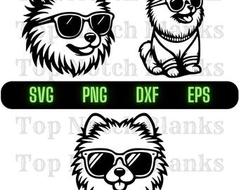 Pomeranian With Glasses Svg Pomeranian Wearing Sunglasses Png Pomeranian Clipart Pomeranian Vector Bundle Pack Commercial Use