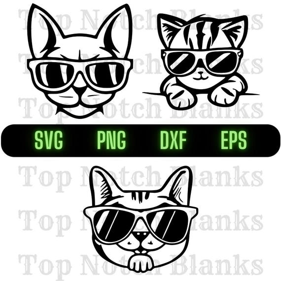 Chat portant des lunettes de soleil Svg chat avec des lunettes Png