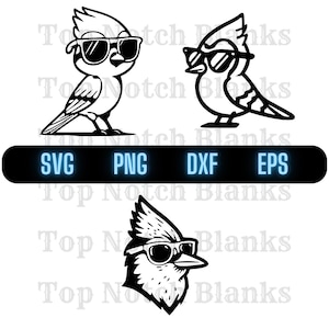 Blue Jay draagt zonnebril Svg Bluejay met zonnebril Png Blue Jay Clipart Blue Jay Vector bundelpakket commercieel gebruik