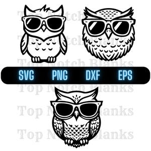 Coruja Usando Óculos De Sol Svg Coruja Com Óculos Png Coruja Com Óculos Clipart Coruja Vector Bundle Pack Uso Comercial