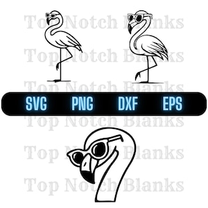 Flamingo With Glasses Svg Flamingo With Glasses Png Flamingo With Glasses Clipart Flamingo Vector Bundle Pack Commercial Use